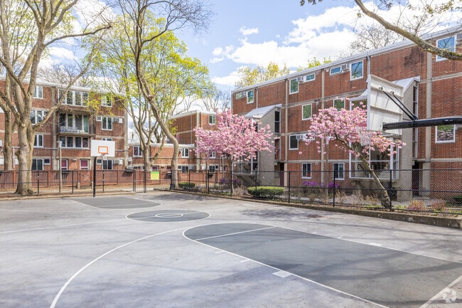 Basketball Court