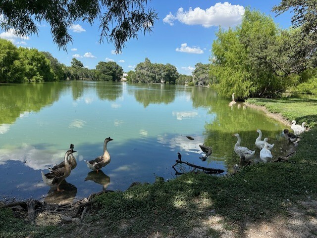 Photo - Vista Lago