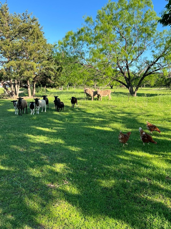 Photo - 7338 SE County Rd 3050