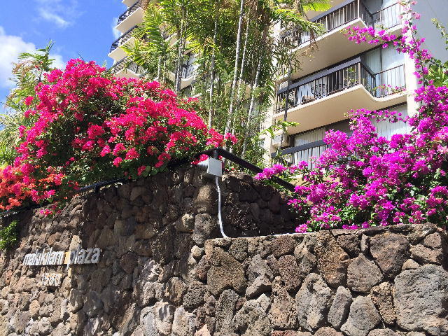 MAKIKILANI PLAZA studio, pkg, sec, A/C, W/... - MAKIKILANI PLAZA studio, pkg, sec, A/C, W/... Unit APT 202
