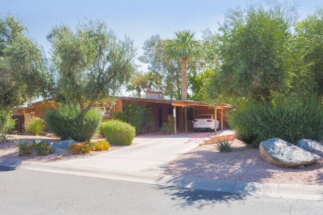 Photo - Scottsdale Rental Listing