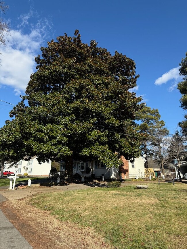 Photo - Large 3bed 1.5 bath ranch with 2 car garage $1895