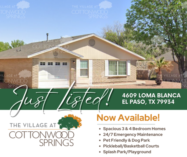 The Village at Cottonwood Springs - The Village at Cottonwood Springs Casa