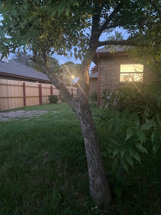 Photo - 1007 Dandelion Dr