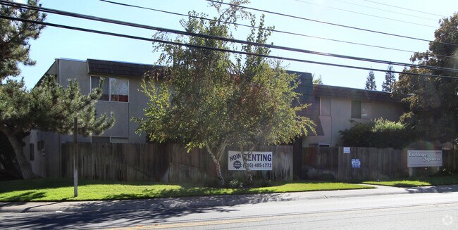 Cottage Square Apartments - Cottage Square Apartments