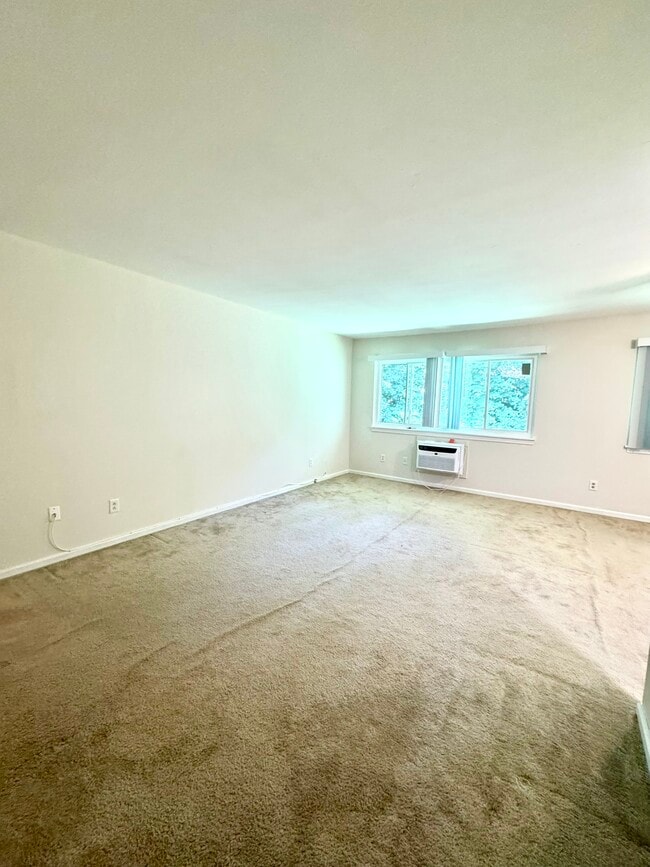 74 Barrett St