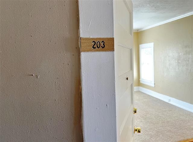 Photo - 315 Normal St Unit 203