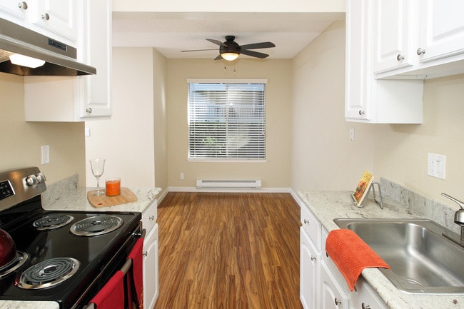 Modern Kitchen Interiors