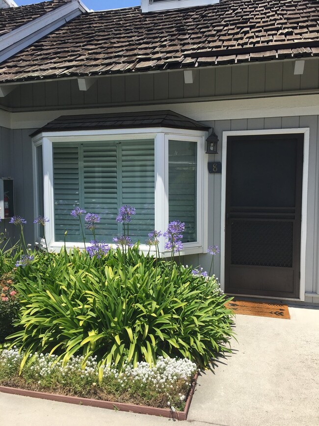 Photo - Cozy Studio by the Beach in Sandpiper III Complex! Unit 8