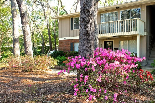 Building Photo - 800 Mallery St Unit 64 Rental