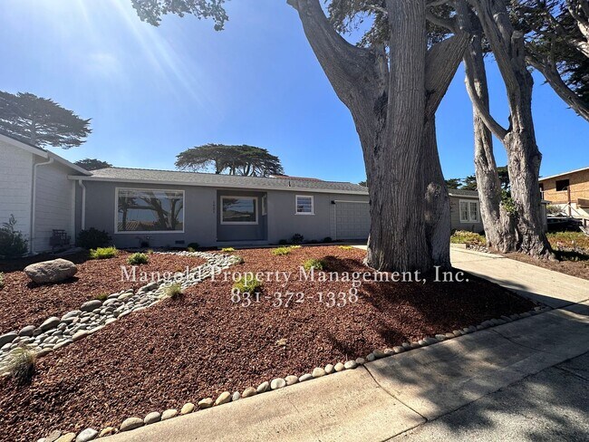 shell - shell Apartment Unit 1021