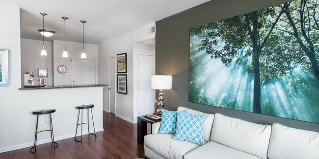 Vue Live Oak