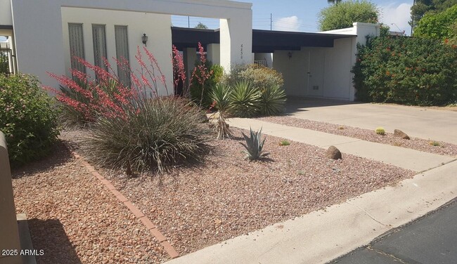 Building Photo - 6830 N 72nd Pl Rental