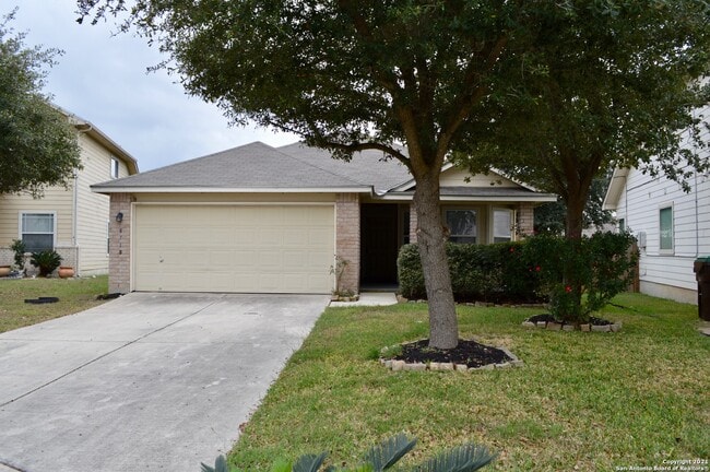 8718 Turtleback- - 8718 Turtleback-