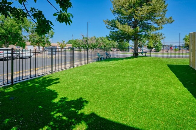 Dog Park