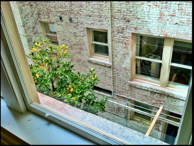 One bedroom available at the Carnegie Buil... - One bedroom available at the Carnegie Buil... Apartment Unit 201