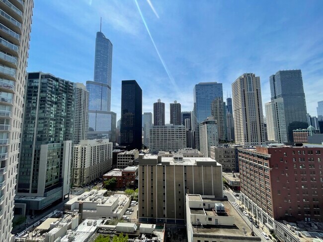 Photo - 545 N Dearborn St Unit 2008