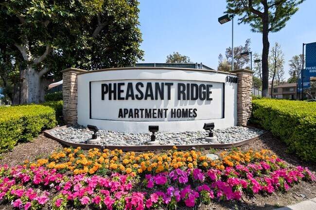Pheasant Ridge
