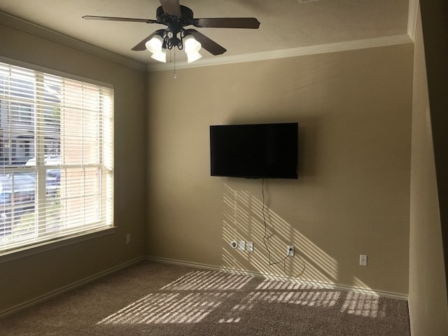 424 Forest Dr Loop