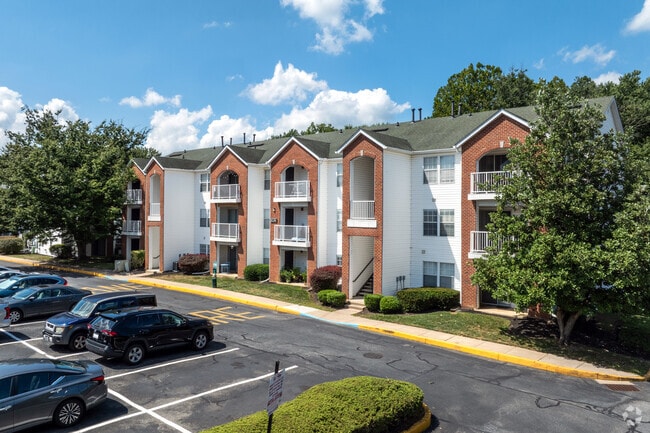 Photo - Christina Mill