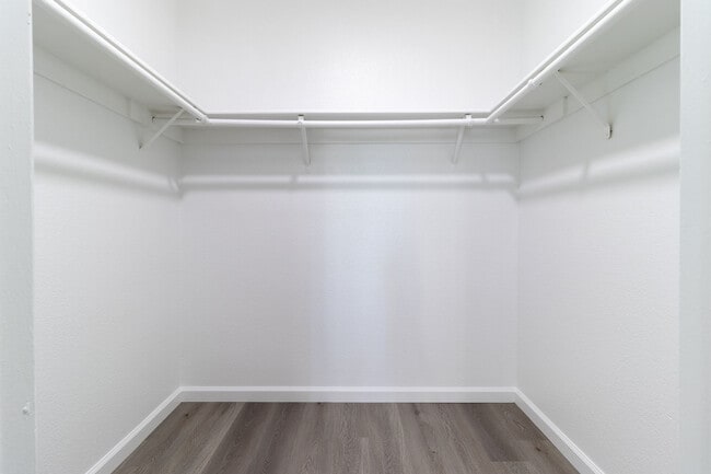 Bedroom - Walk in Closet