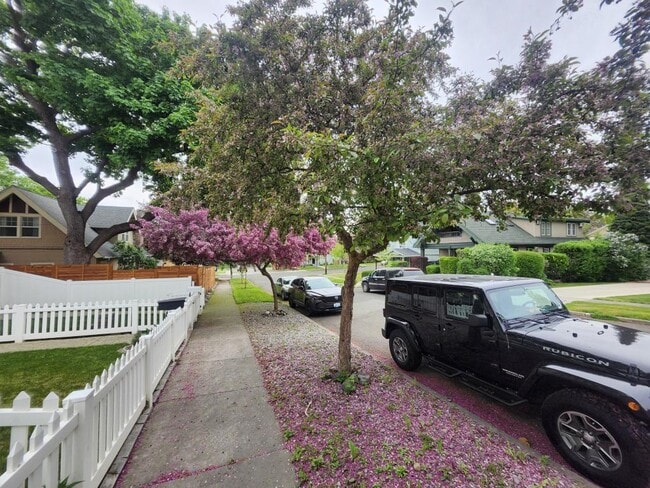 Photo - 1619 W 13th Ave