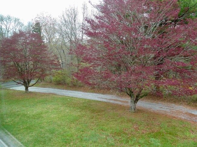 Photo - 21 Winthrop Rd