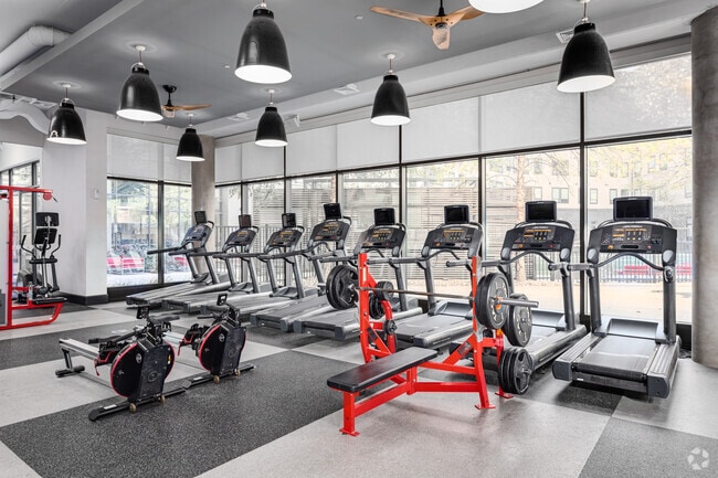 Building 2 Fitness Center - Terrapin Row