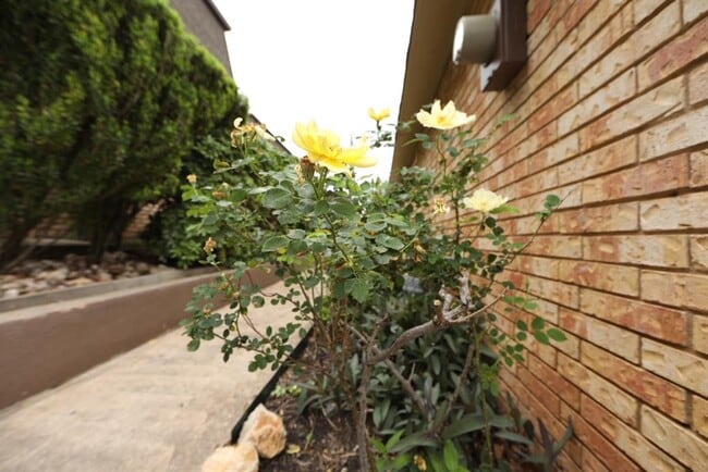 Photo - 5506 Grover Ave Unit A102