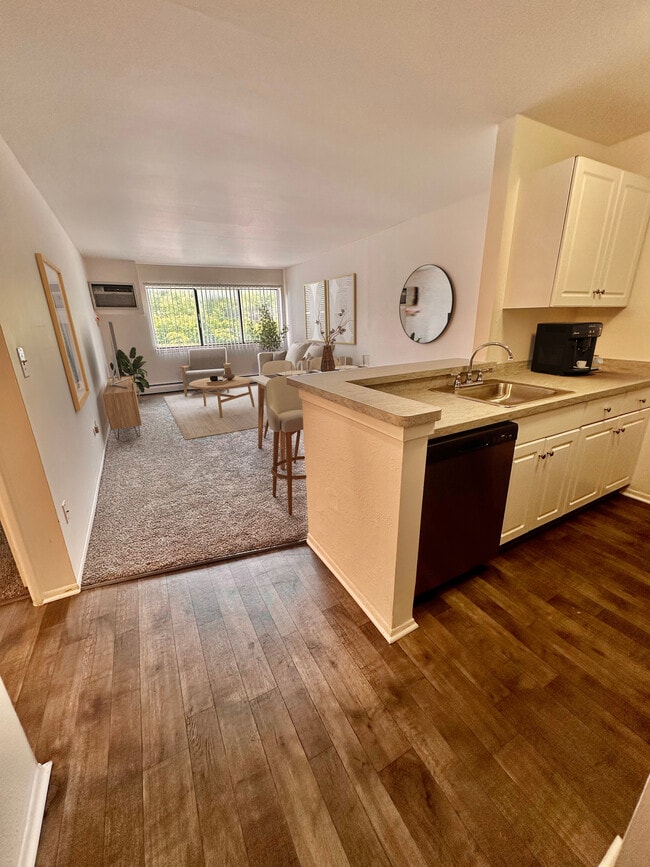 Kitchen & Living Space