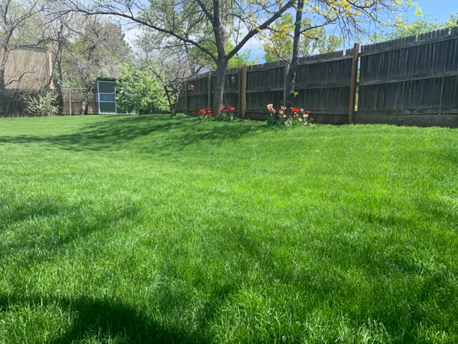 Photo - 13542 Hazel Pl