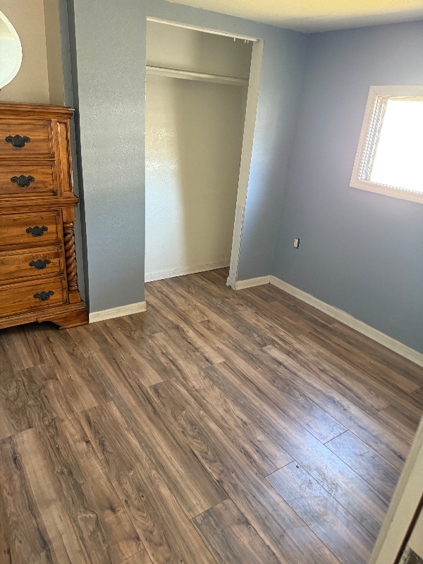 Photo - 29215 Snook Cir