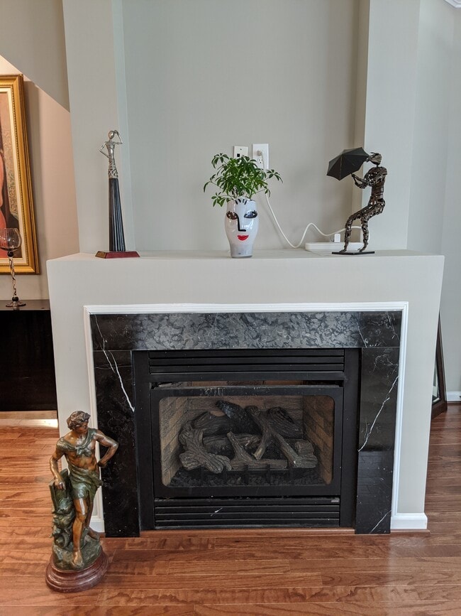 Fireplace in Living Room - 316 Cross Green St Unit 316A