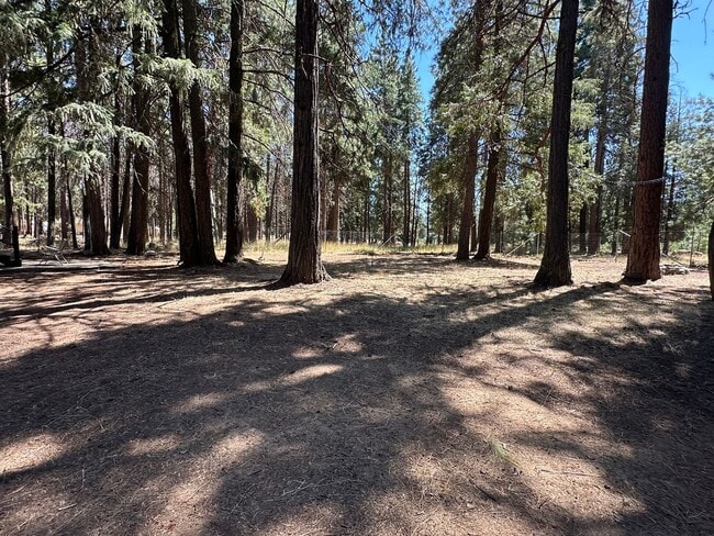 Photo - 18406 Freight Rd Ln