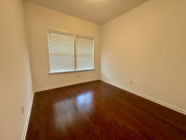 Photo - AVAILABLE TO SHOW!
