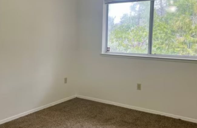 Photo - 33938 Peckinpah Acres Dr