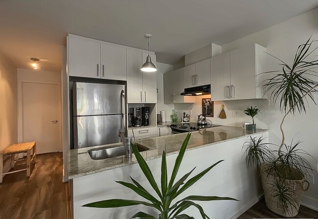 Photo - 9655 Rue Saint-Hubert Unit 9655 Saint-Hubert