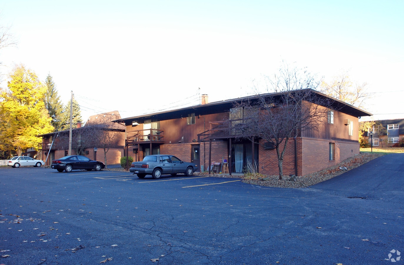 Photo - Serena Woods