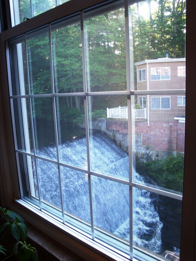 Cocina - 124 College St Unidad 21