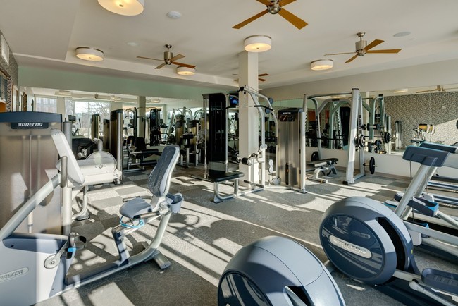 The Island Residences apartments — community photo