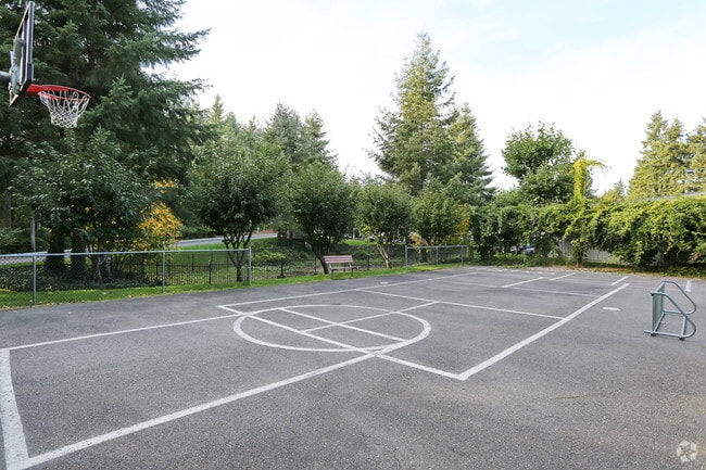 Cancha deportiva - Harbor Pointe Apartments