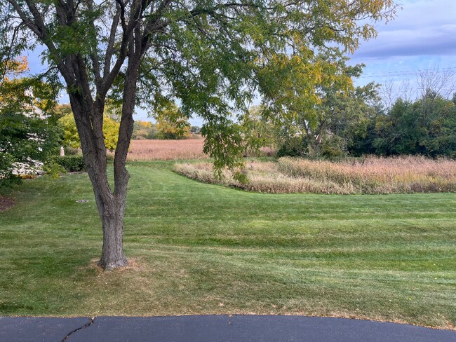 Photo - 547 N Deer Run Dr