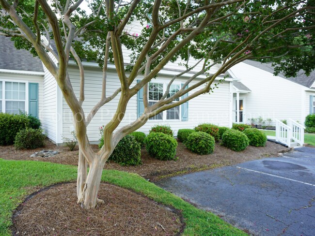Building Photo - 4604 Song Sparrow Ct Rental