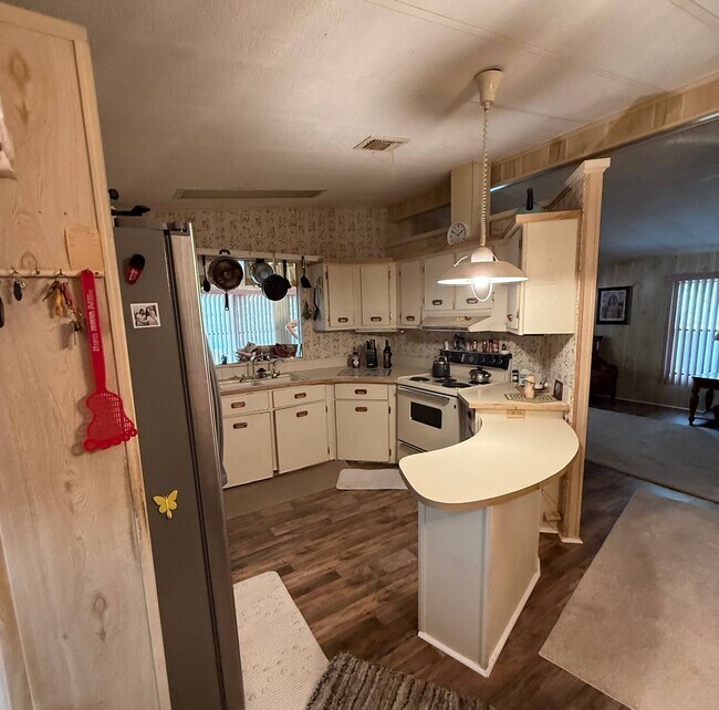 Photo - 128 Needle Palm Ln