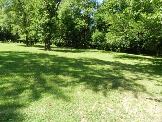 204 Dyer Dr