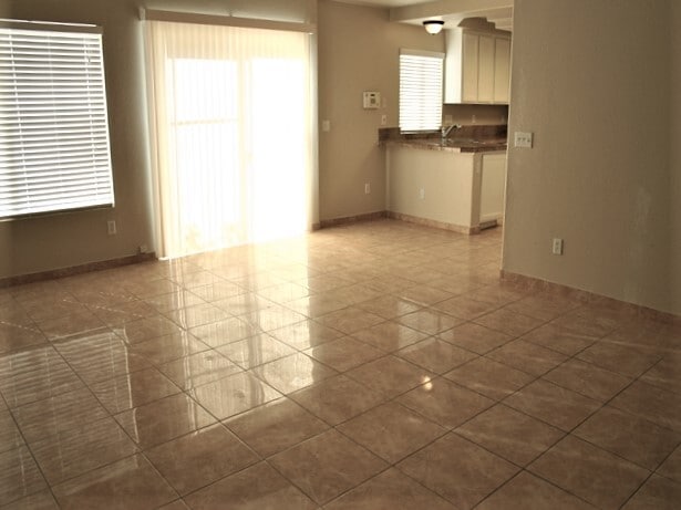 961 Orchid Vine Ct