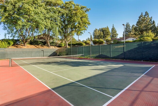 Photo - Bernardo Crest