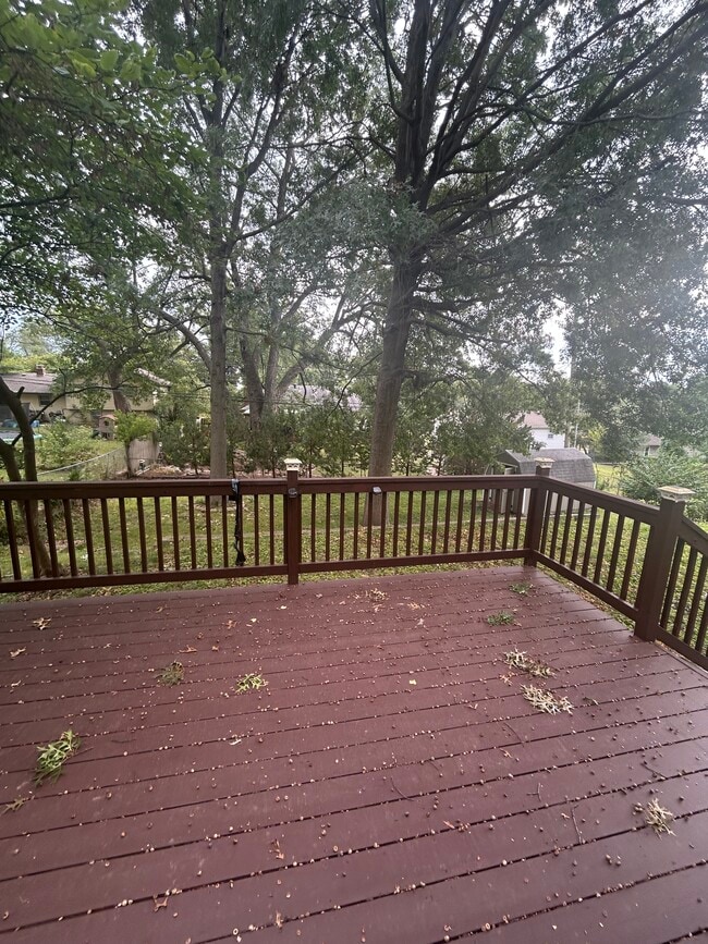 Photo - 50th Ter Independence