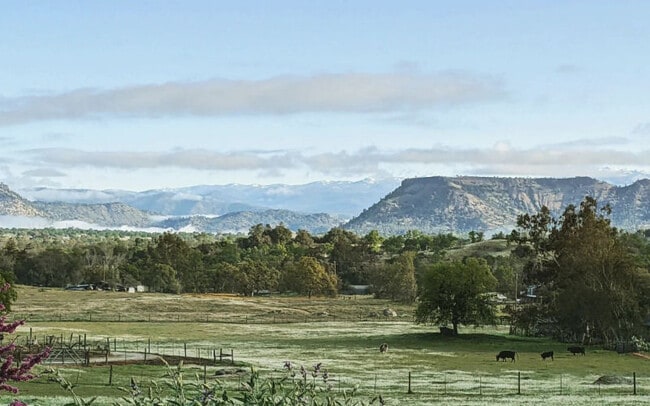 Wake Up to This View - 26178 Whispering Oak Ln