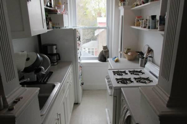 Photo - 0.0 bedroom in Cambridge Massachusetts 02138 Unidad U1